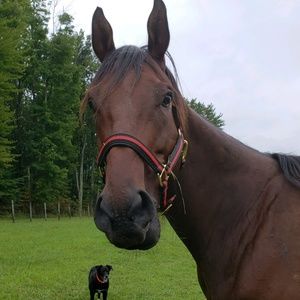 Meet your Posher, Julia